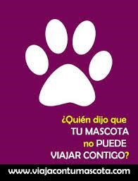 Logo de viajacontumascota.com
