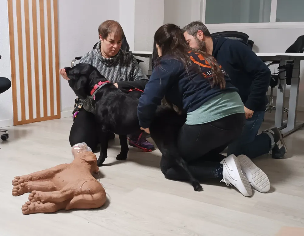 Alumnos del curso de primeros auxilios con un labrador negro y un maniquí de perro