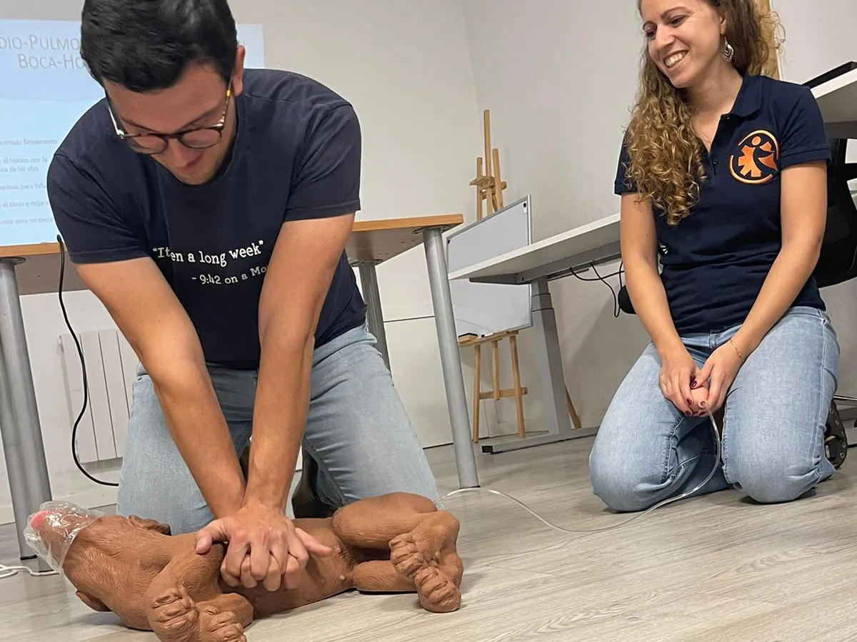 Primeros auxilios para perros y gatos: aprender a cuidarles con tranquilidad