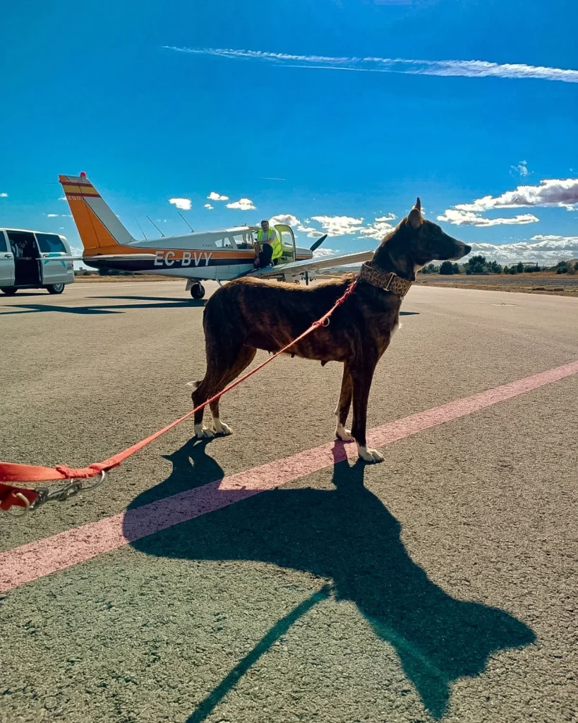 Juani en la pista del aeródromo junto al avión