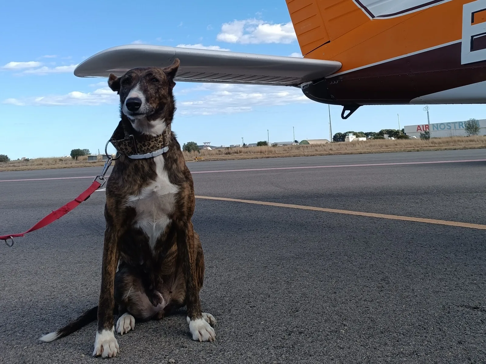 Juani sentada en la pista junto al ala del avión el día de su vuelo