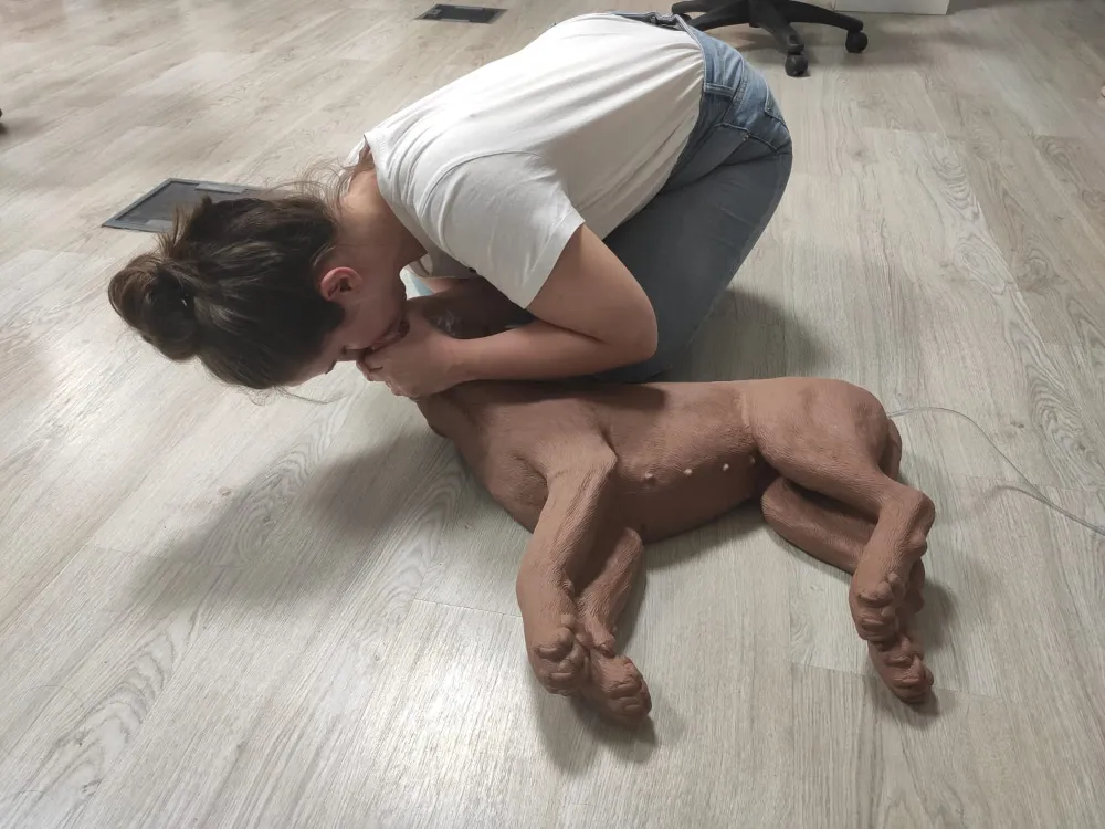 Alumna practicando la respiración boca-hocico sobre un maniquí de perro