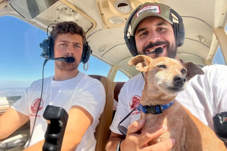 Rocky volando en la cabina con los pilotos de Patas y Pilotos
